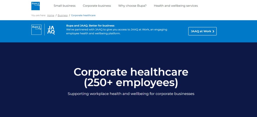 bupa website screen grab